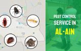 Al Ain Pest Control Service (2022)