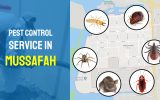 Mussafah Pest Control Service (2022)