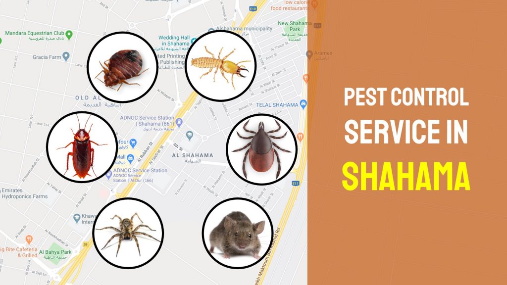 Shahama Pest Control Service