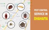 Shahama Pest Control Service